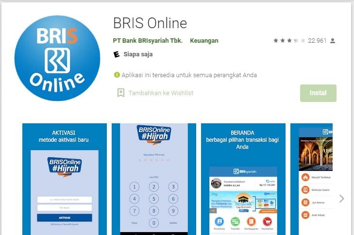 BRIS Online Error