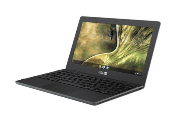 Laptop Touchscreen Murah Di Bawah 4 Jutaan Berkualitas ASUS Chromebook C204MA-BU1430