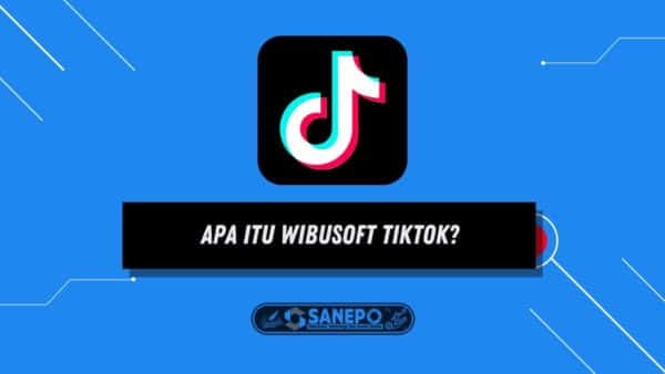 Apa Itu Wibusoft TikTok? Link Download dan Cara Membuat Tulisannya