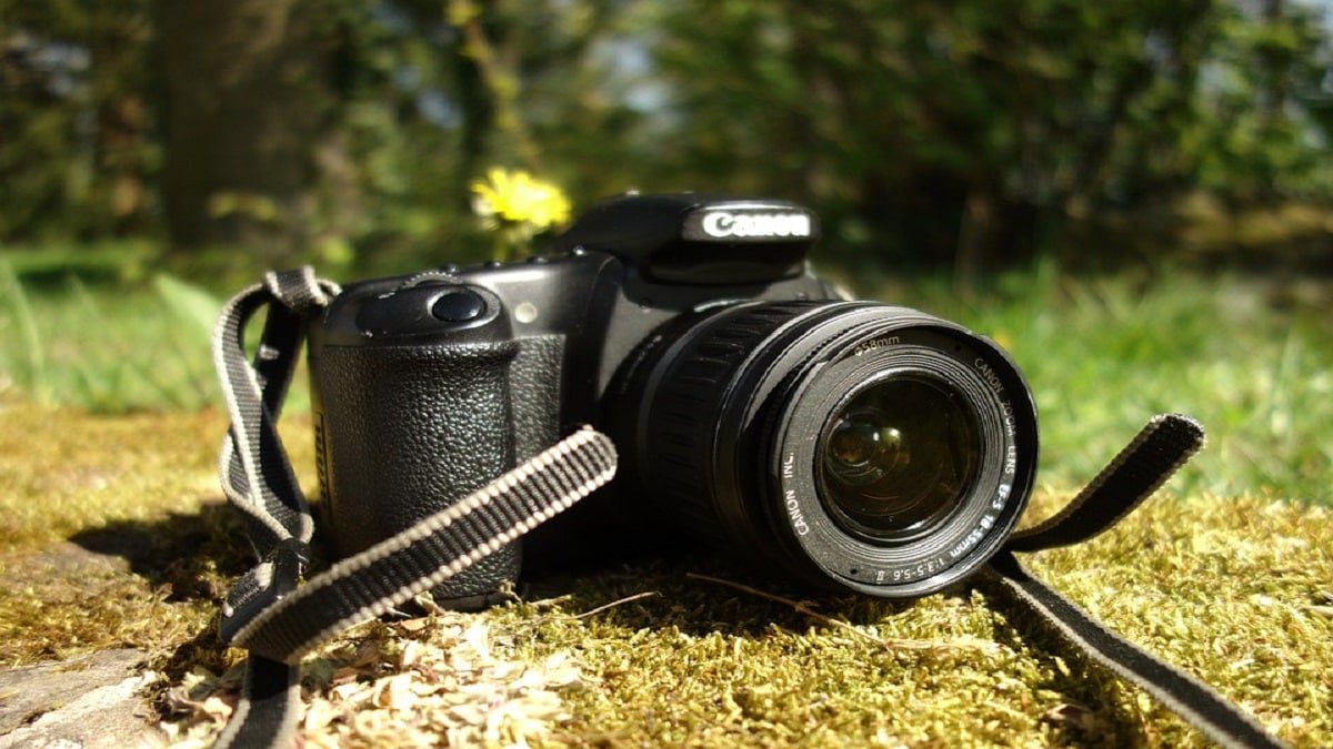 3 Cara Memindahkan Video dari Kamera Canon ke HP, Mudah Banget Loh! 2024