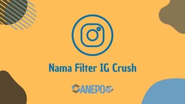 Nama Filter IG Crush, Cara Mendapatkannya dengan Mudah dan Langsung Pakai