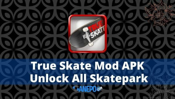 True Skate Mod APK Unlock All Skatepark