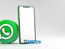 cara merubah tema WhatsApp