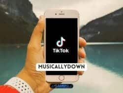 Musicallydown, Situs Download Video Tiktok Tanpa Watermark