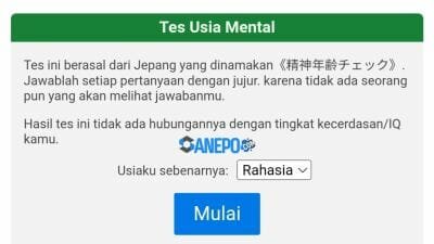 mental age test Indonesia 2022