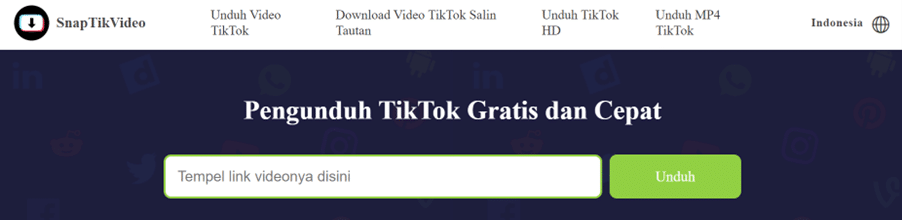 TikTok Video Downloader Tanpa Watermark