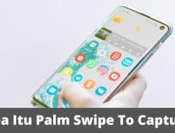apa itu Palm Swipe To Capture