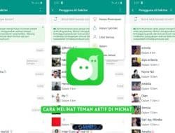 Cara Mengetahui Akun MiChat Online