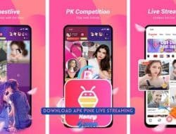 Download Apk Pink Live Streaming