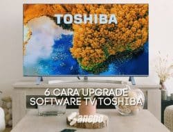 5 Cara Setting TV Digital Toshiba Tanpa Set Top Box dengan Mudah