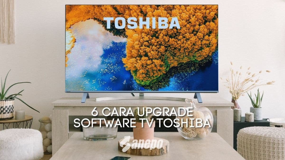 5 Cara Setting TV Digital Toshiba Tanpa Set Top Box dengan Mudah