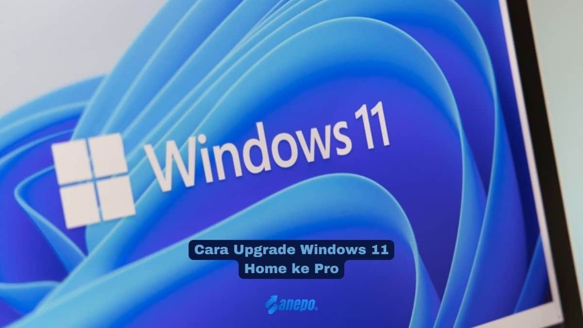 Cara Upgrade Windows 11 Home ke Pro