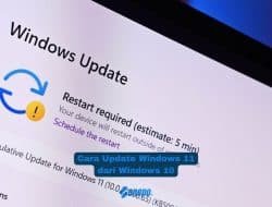 Cara Update Windows 11 dari Windows 10