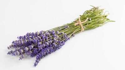 tutorial membuat bunga lavender dari sedotan