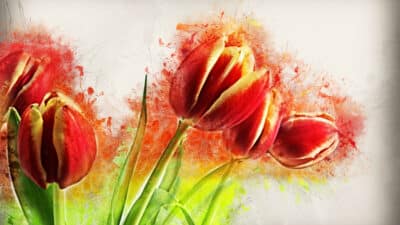 tutorial menggambar bunga tulip