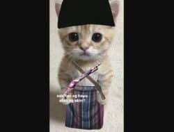 Download PP Kucing Ramadhan FF SG 2