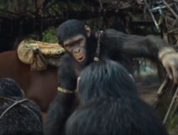 Link Nonton Kingdom of The Planet of The Apes