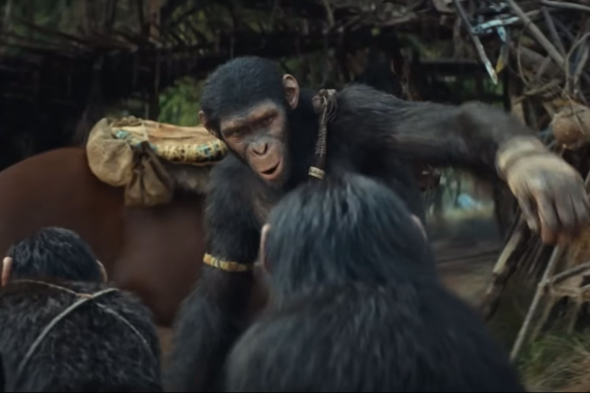 Nonton Kingdom Of The Of The Apes Sub Indo Nonton Di Mana